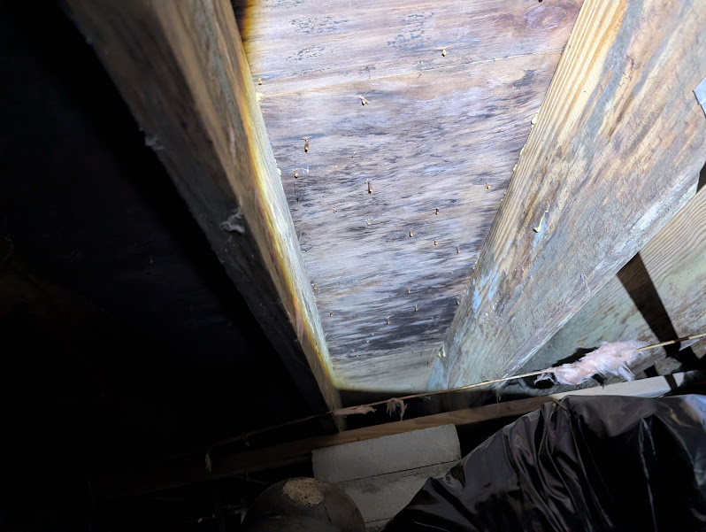 Dark moisture staining on the subfloor sheathing between two floor joists